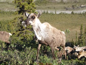 Photo credit: Eliza Cava